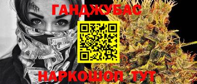 хмурый Кингисепп