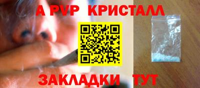 хмурый Кингисепп