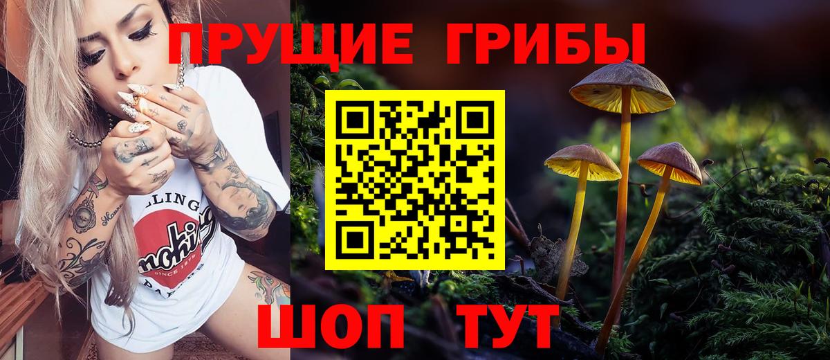 Галлюциногенные грибы мицелий Коряжма